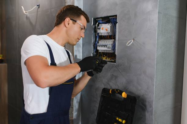 Best Ceiling Fan Installation Electrician  in Belle Plaine, MN
