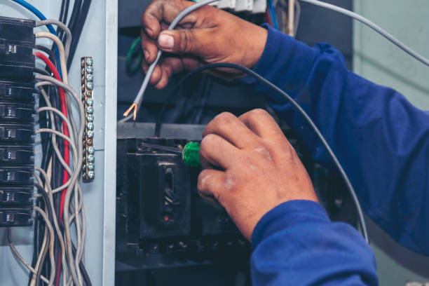 Best Local Electrician Companies  in Belle Plaine, MN